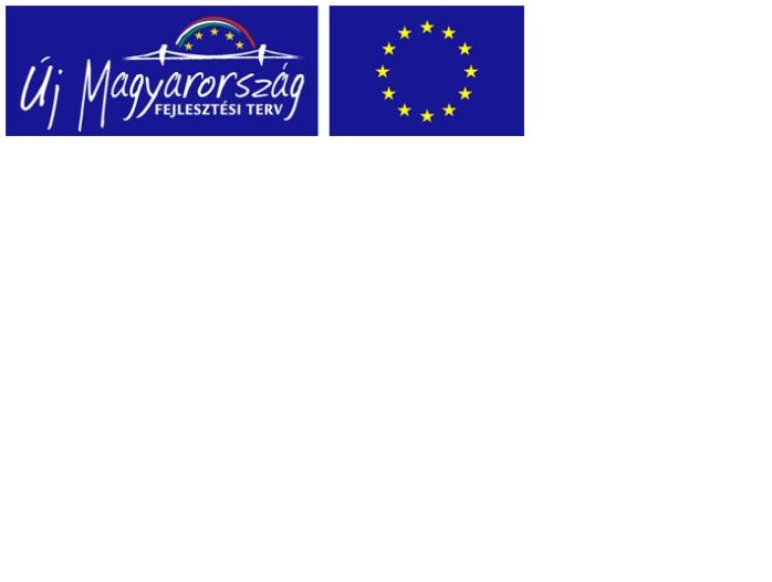NID-1063_EU_UMFT_logo