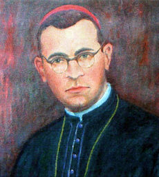 NID-1166_Bogdanffy_Szilard_puspok